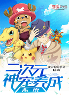 ����Ԫ�������ϵͳ