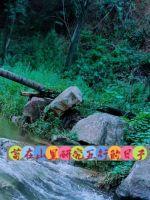 ����ɽ�����������