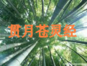 ���²��龭