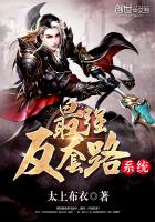 ��ǿװ�ƴ���ϵͳ����ǿ����·ϵͳ��