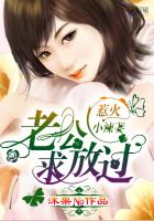 �ǻ�С���ޣ��Ϲ���Ź�