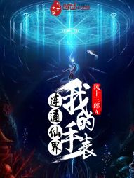 ʥ�����װ��ϵͳ